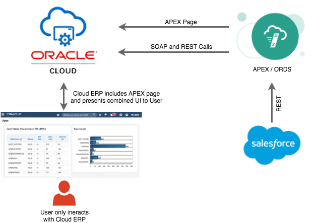 Cloud ERP APEX Mashup