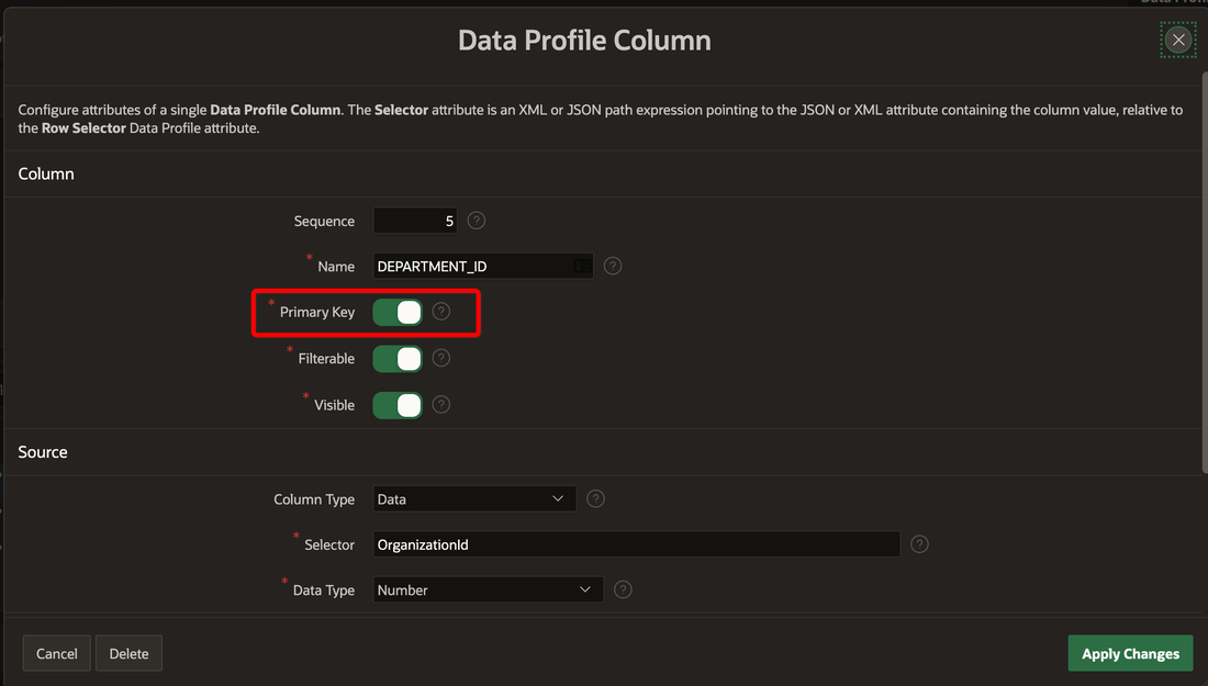 REST Data Source Data Profile Primary Key